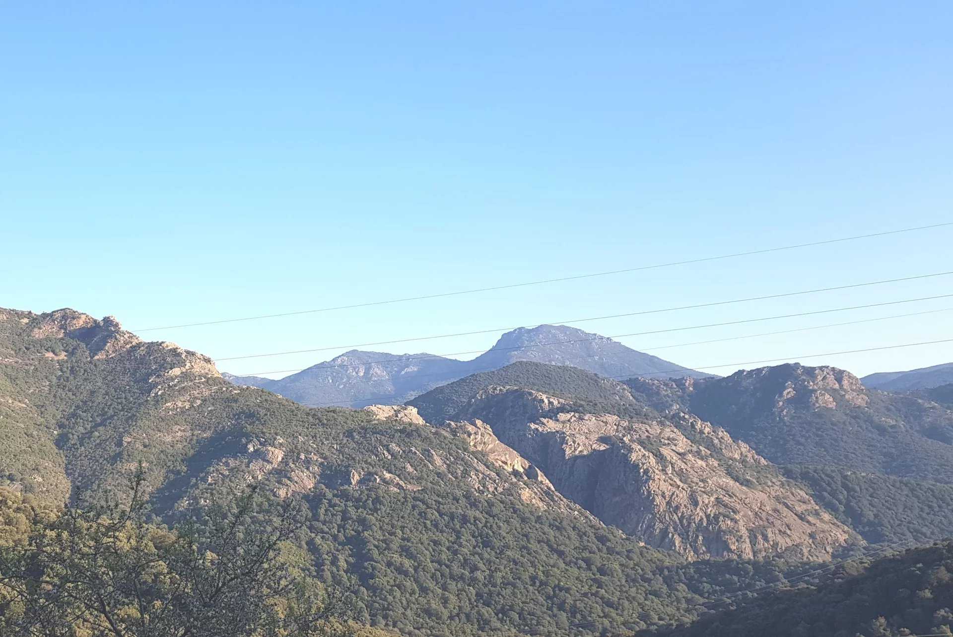 Tanah dalam Ocana, Corsica 12255435