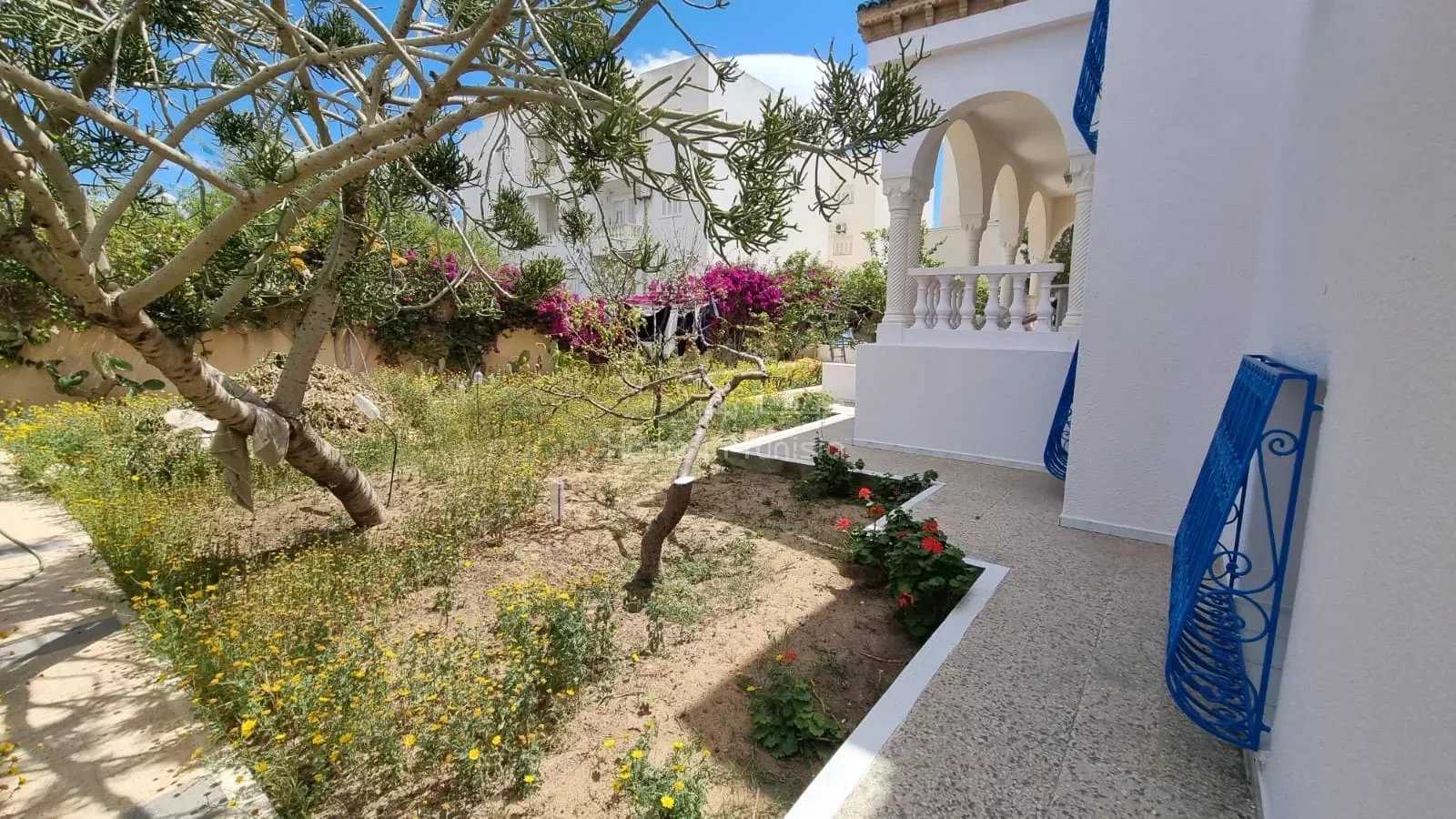 Hus i Souani el Adari, Sousse 12258755