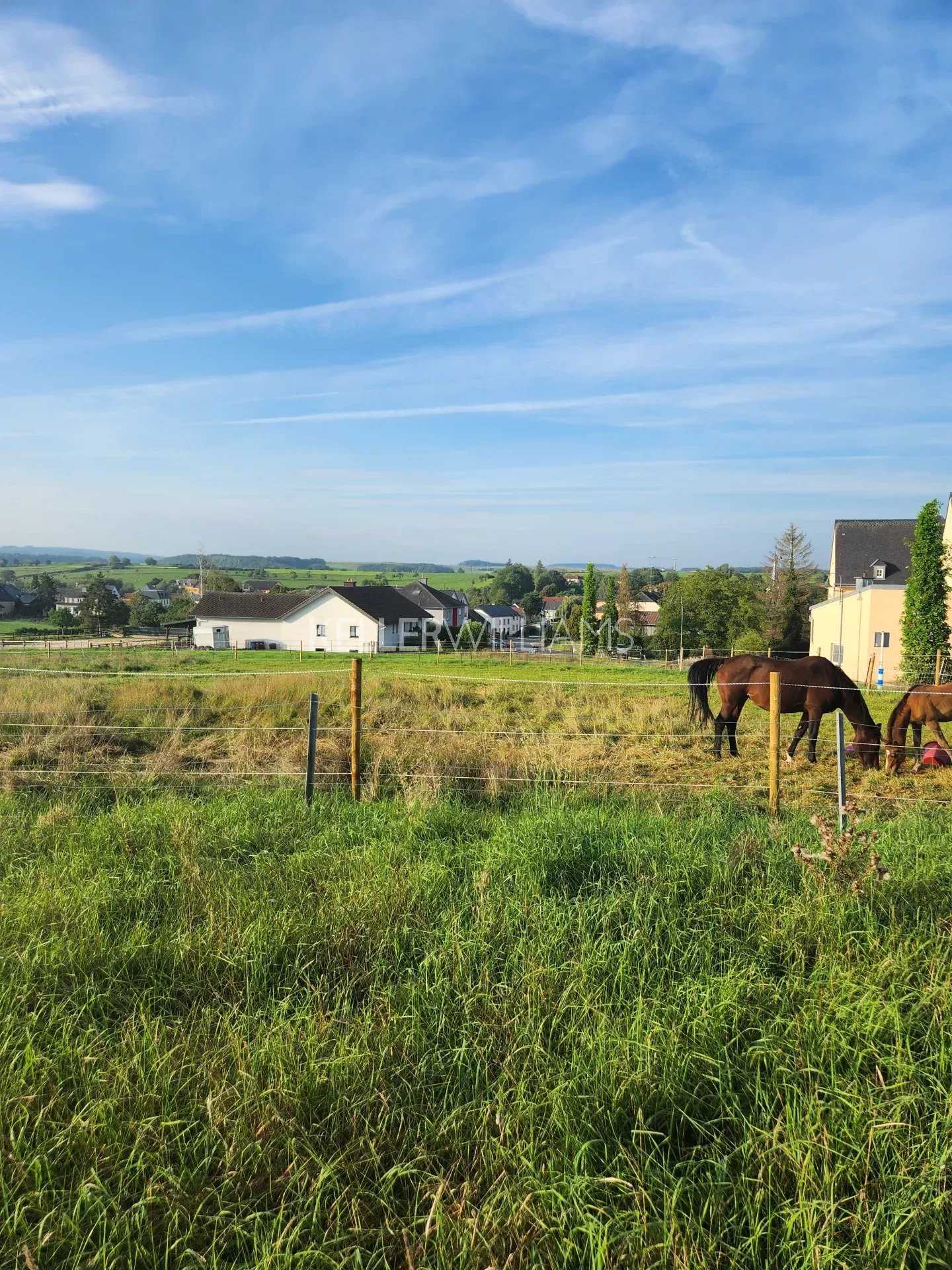 Land in Waldbillig, Echternach 12264739