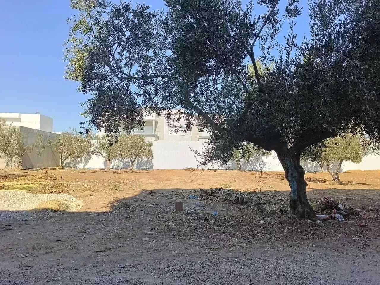 Tanah dalam Sousse Khezama, Sousse Jaouhara 12264795
