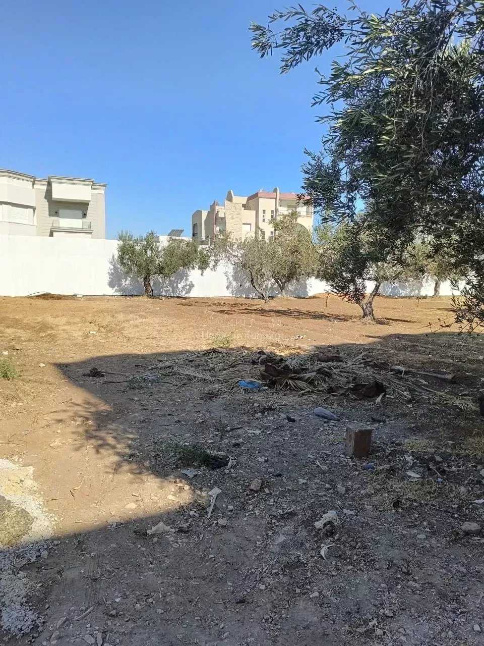 Komersial dalam Sousse Khezama, Sousse Jaouhara 12264795