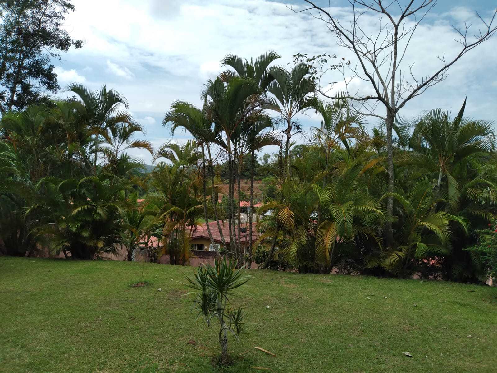 Dom w , Provincia de Panamá Oeste 12264806
