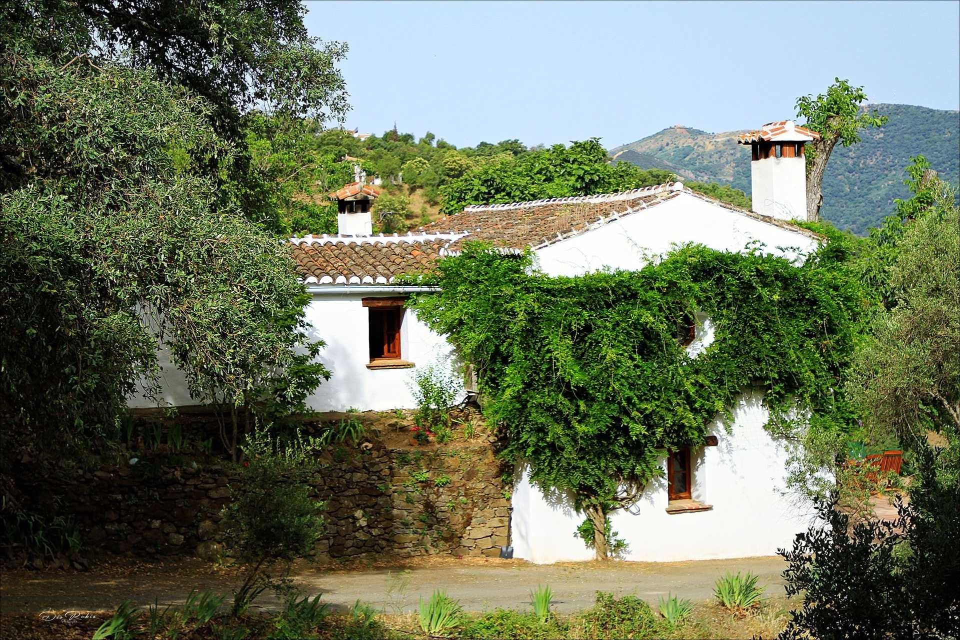 Talo sisään Genalguacil, Andalusia 12264911