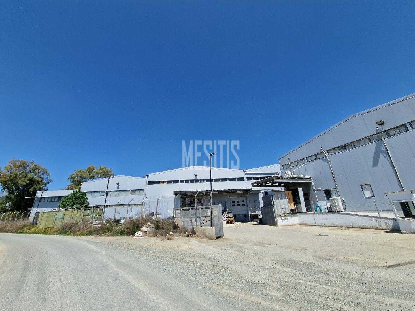 Industrial in Nisou, Lefkosia 12270752