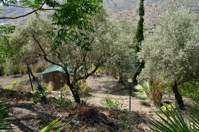 жилой дом в Sayalonga, Andalusia 12277034