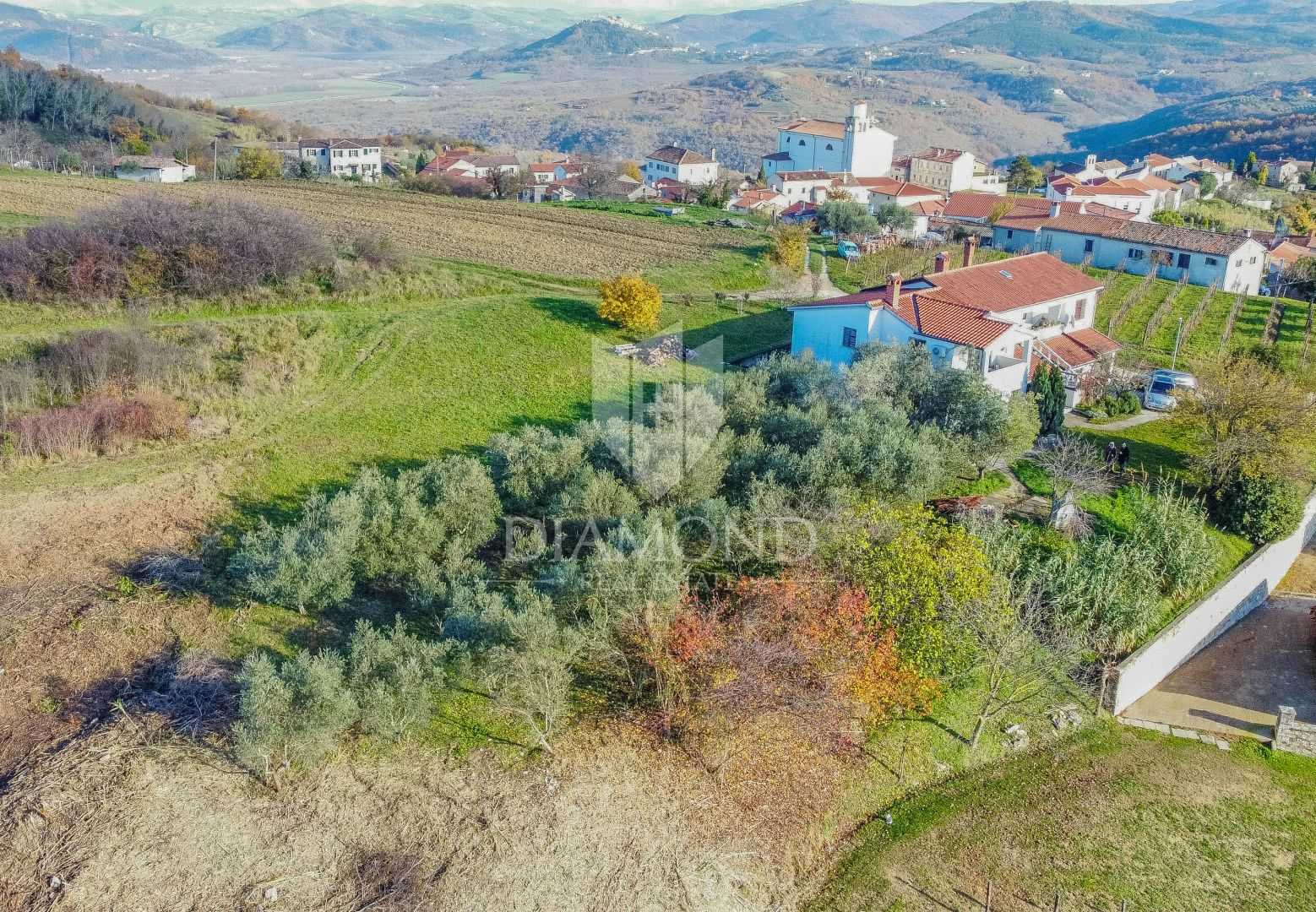 Tanah di Vižinada, Istria County 12280448