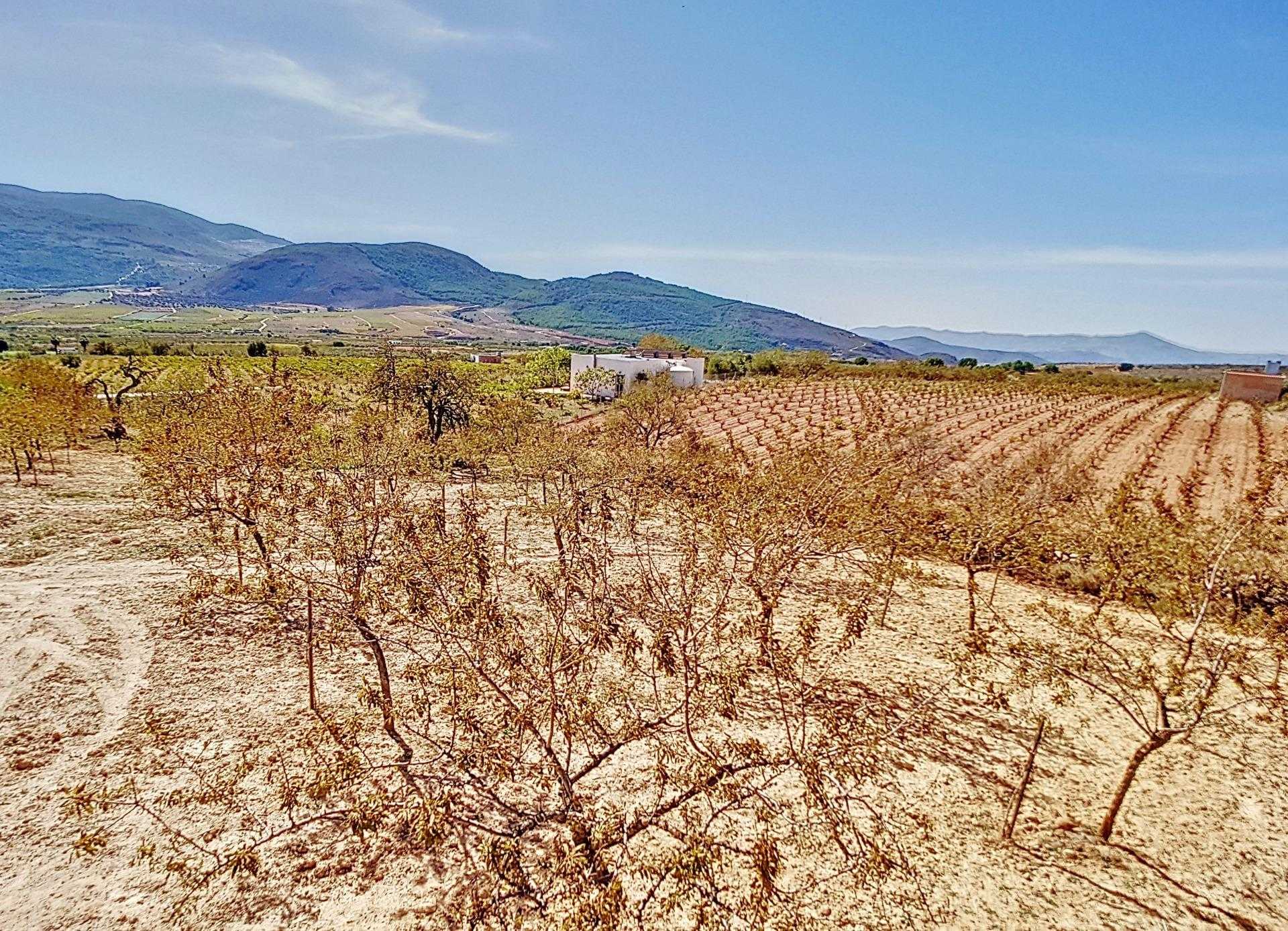 Land in Laujar de Andarax, Andalusia 12282418