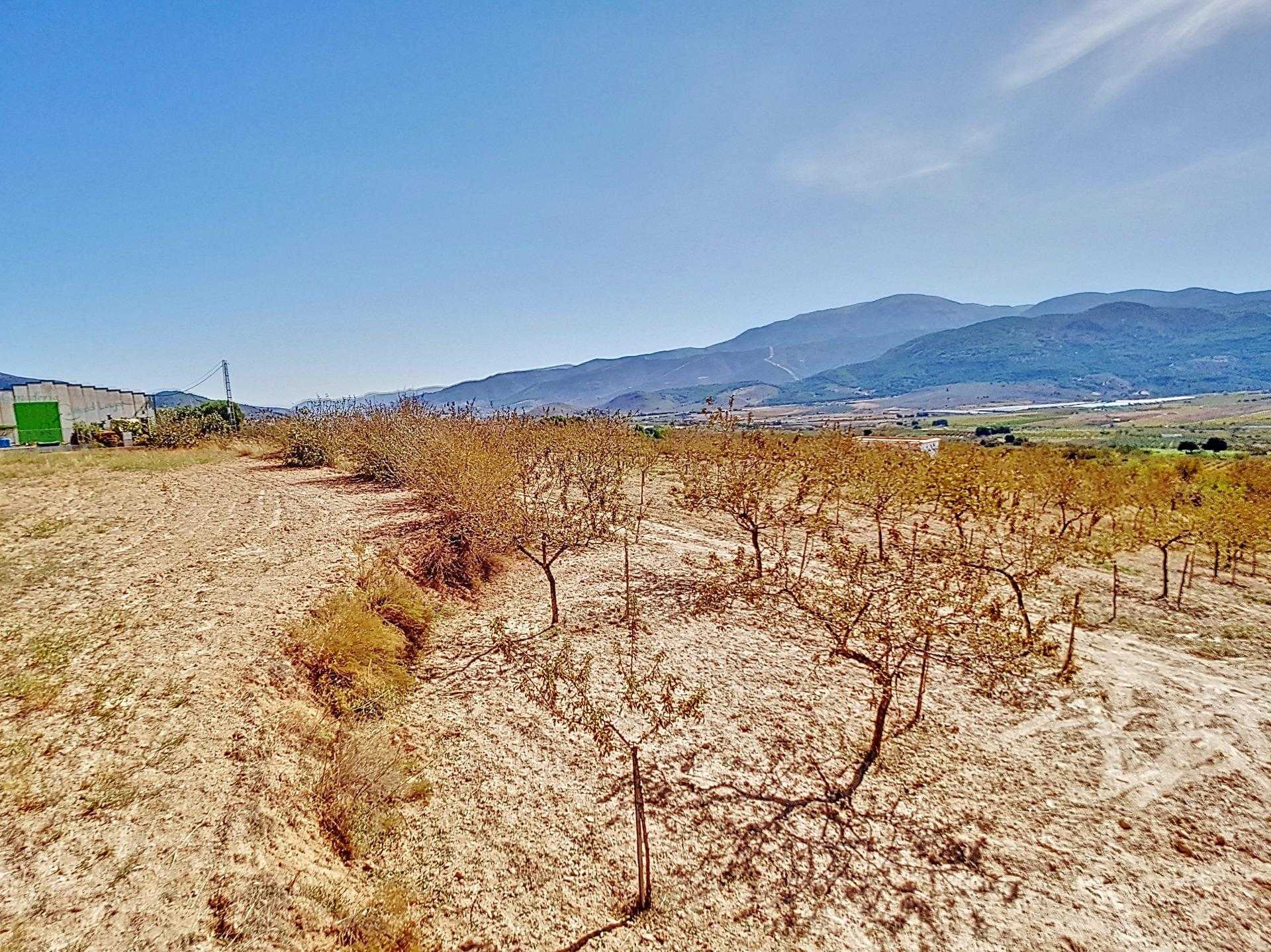 Land in Laujar de Andarax, Andalusia 12282418
