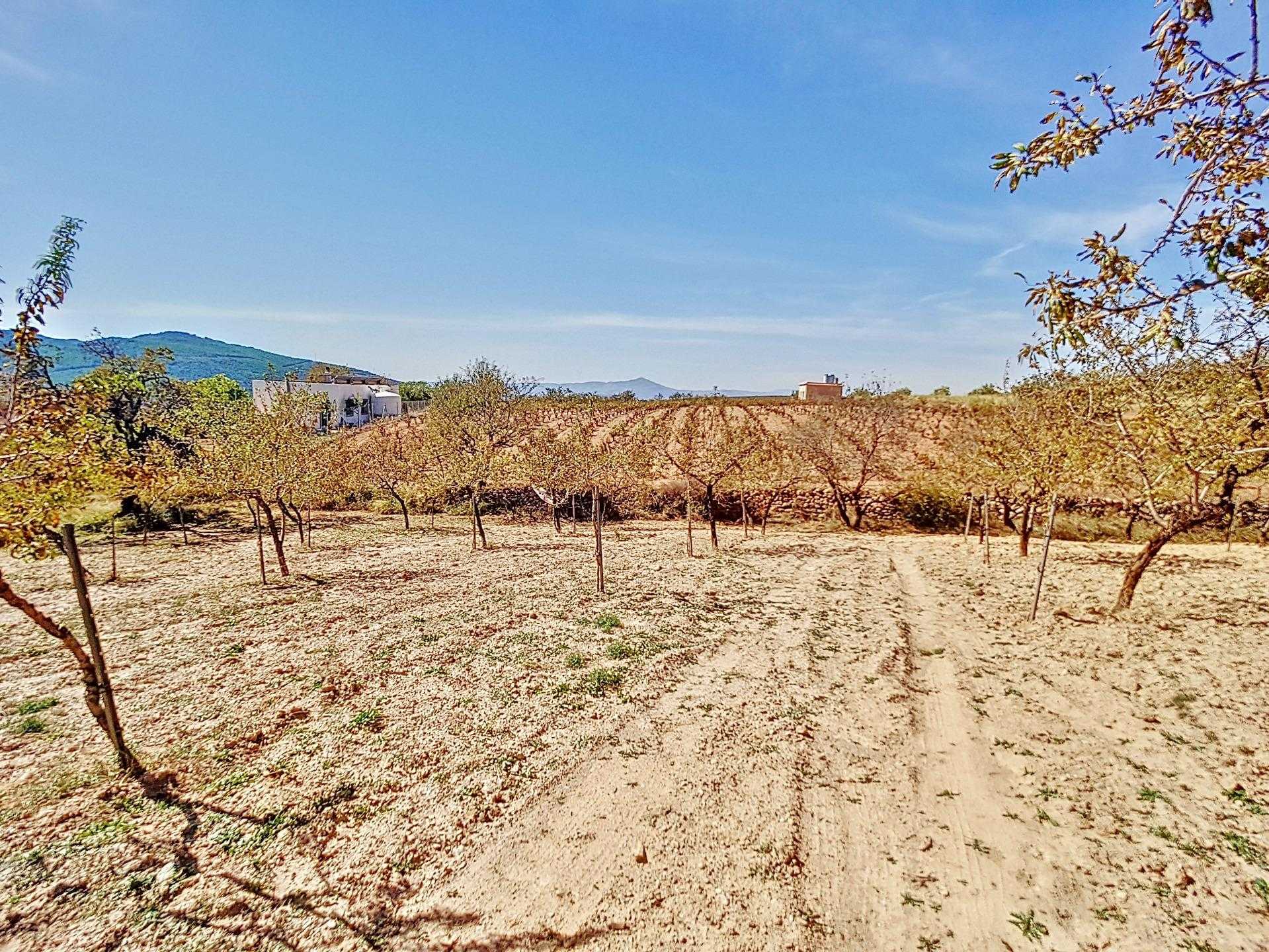 Tanah dalam Laujar de Andarax, Andalusia 12282418