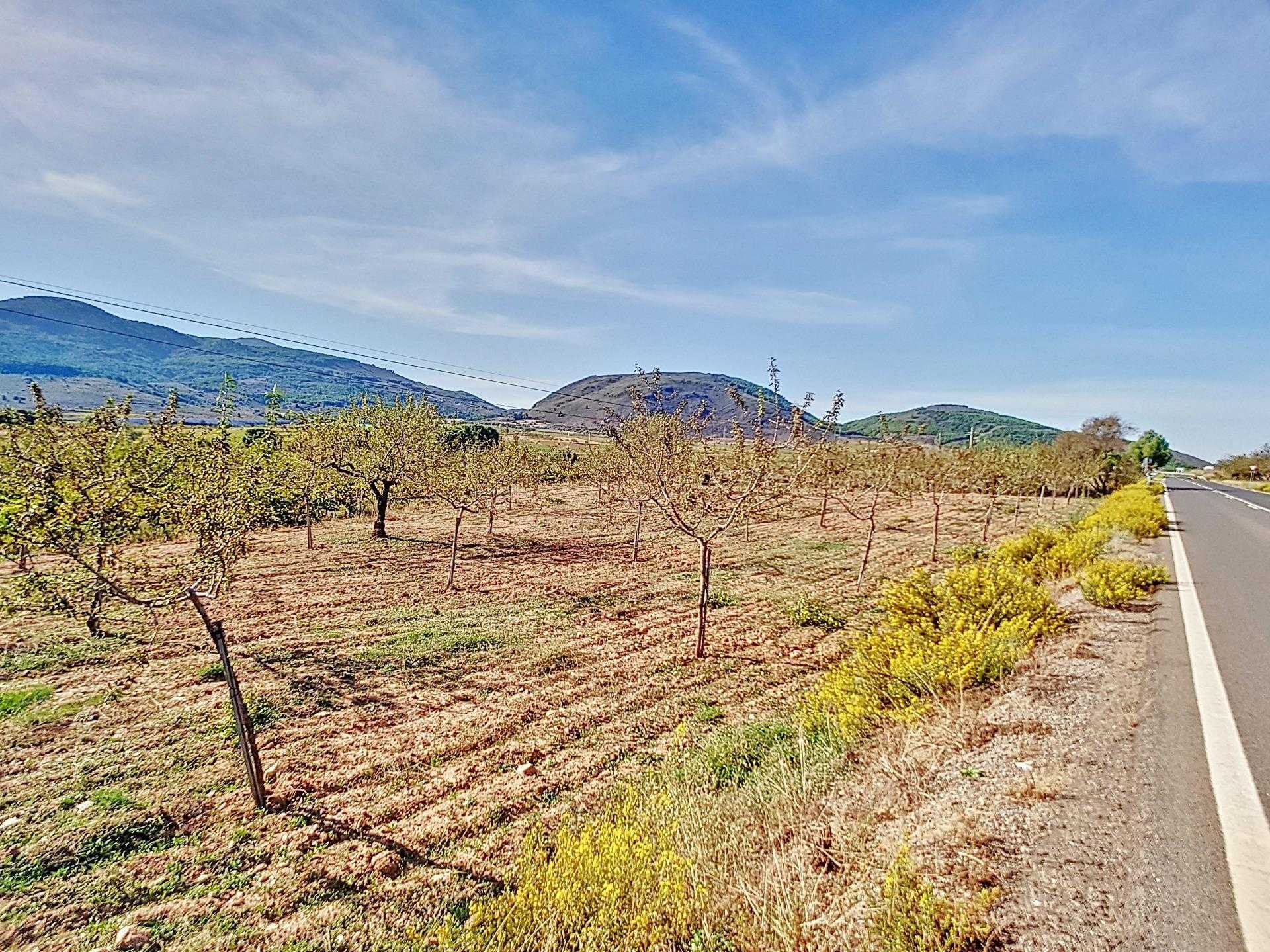 Land in Laujar de Andarax, Andalucía 12282419