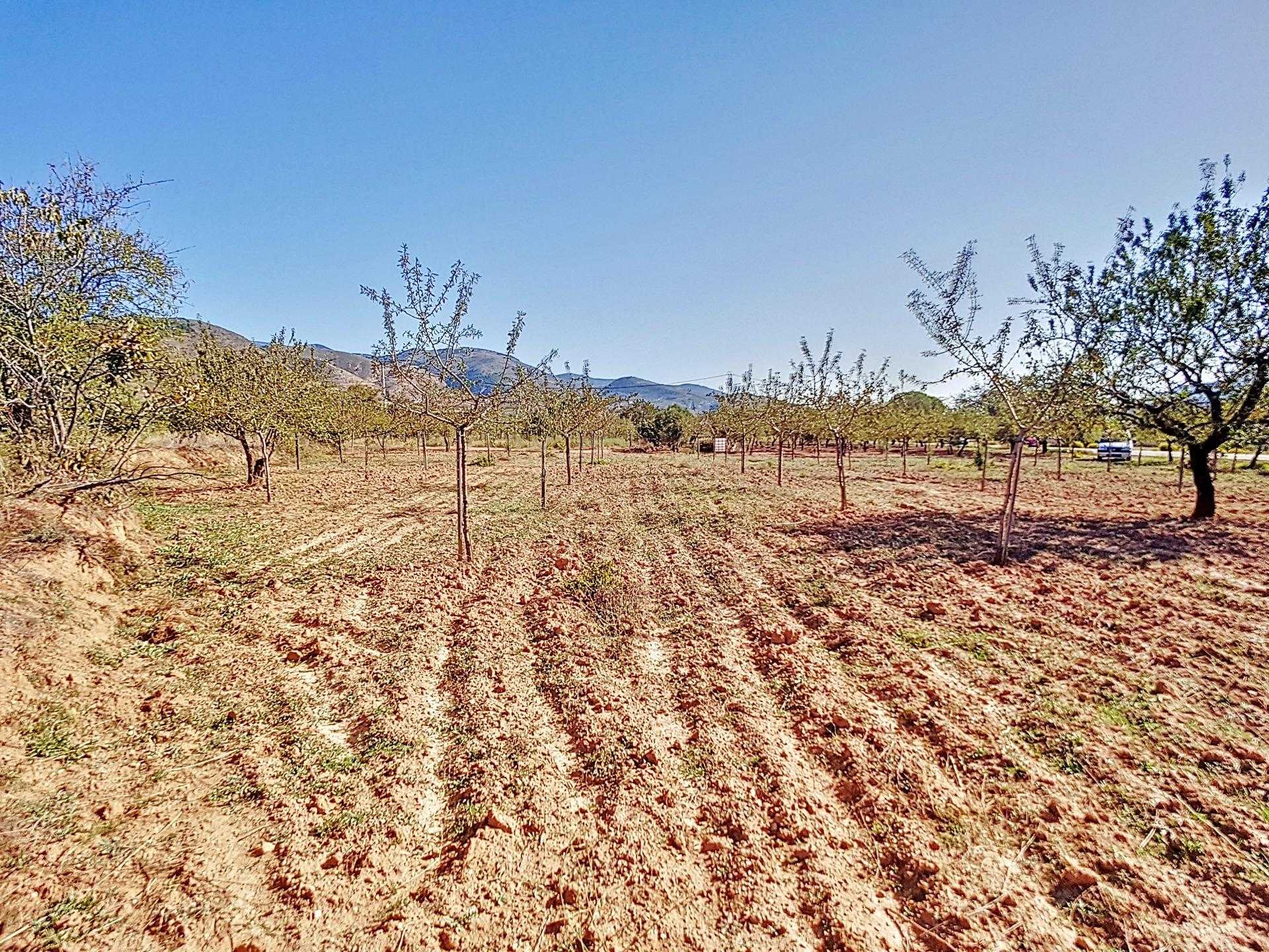 Land in Laujar de Andarax, Andalusia 12282419