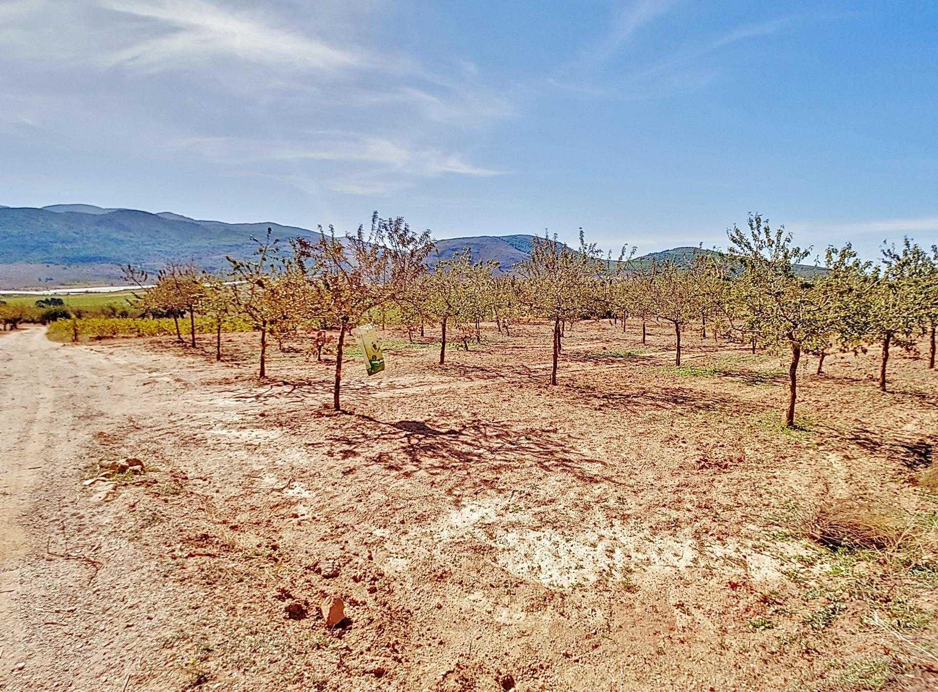 Land in Laujar de Andarax, Andalusia 12282420