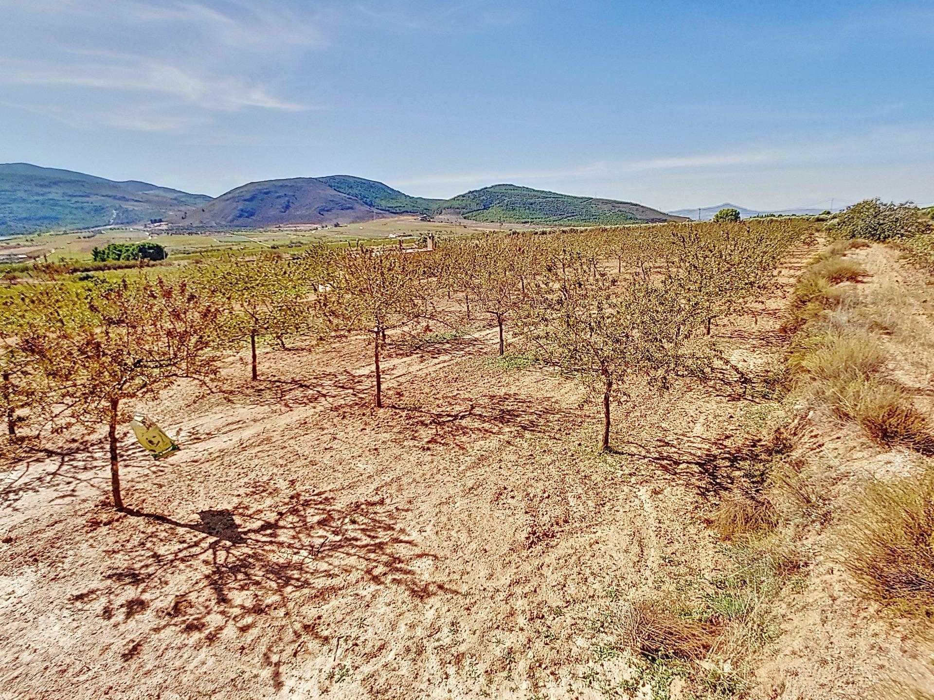Tanah dalam Laujar de Andarax, Andalusia 12282420