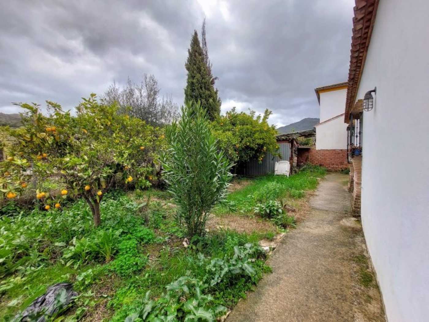 Huis in Gaucin, Andalusië 12282771