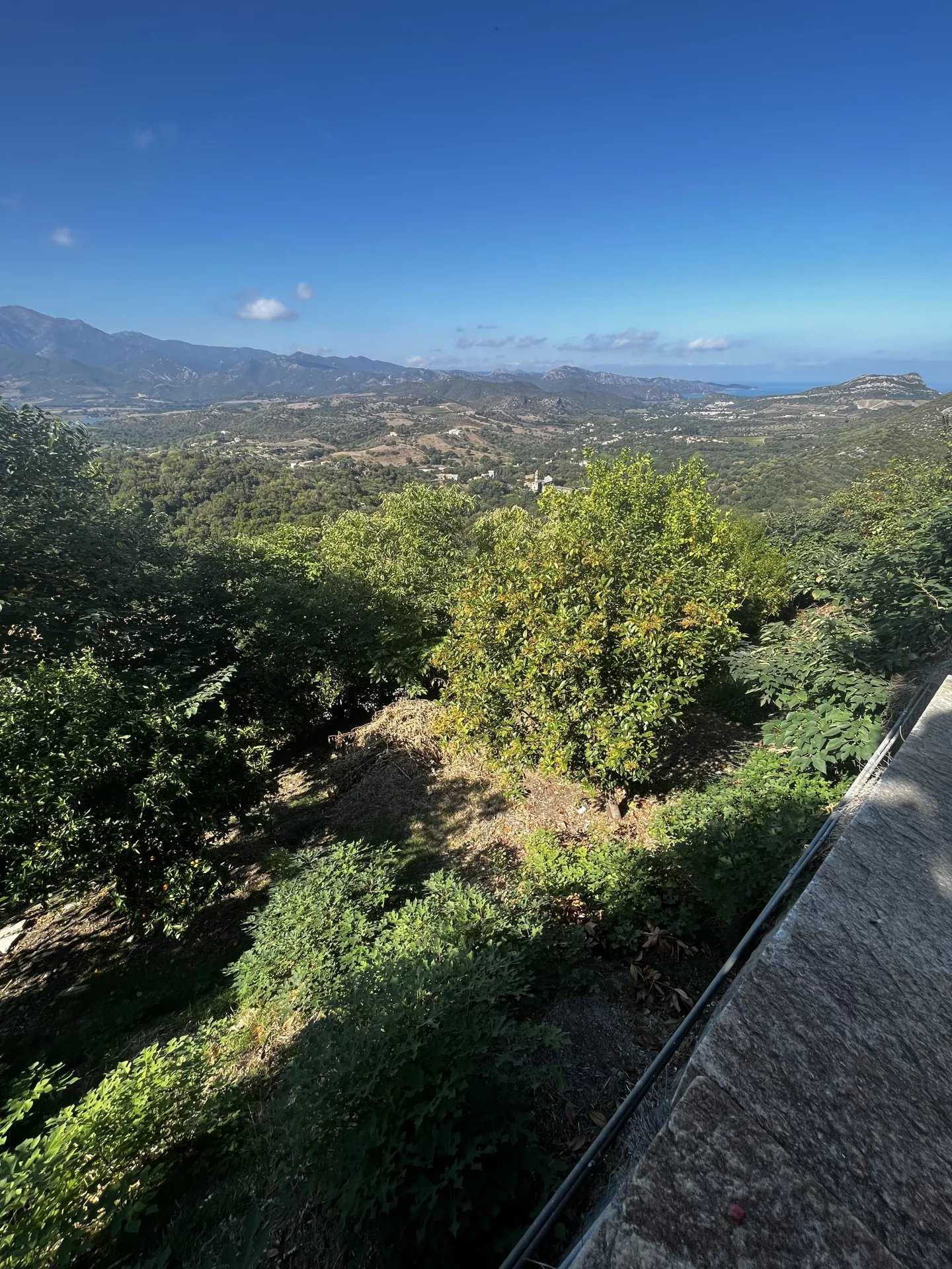 Land in Oletta, Corsica 12284715