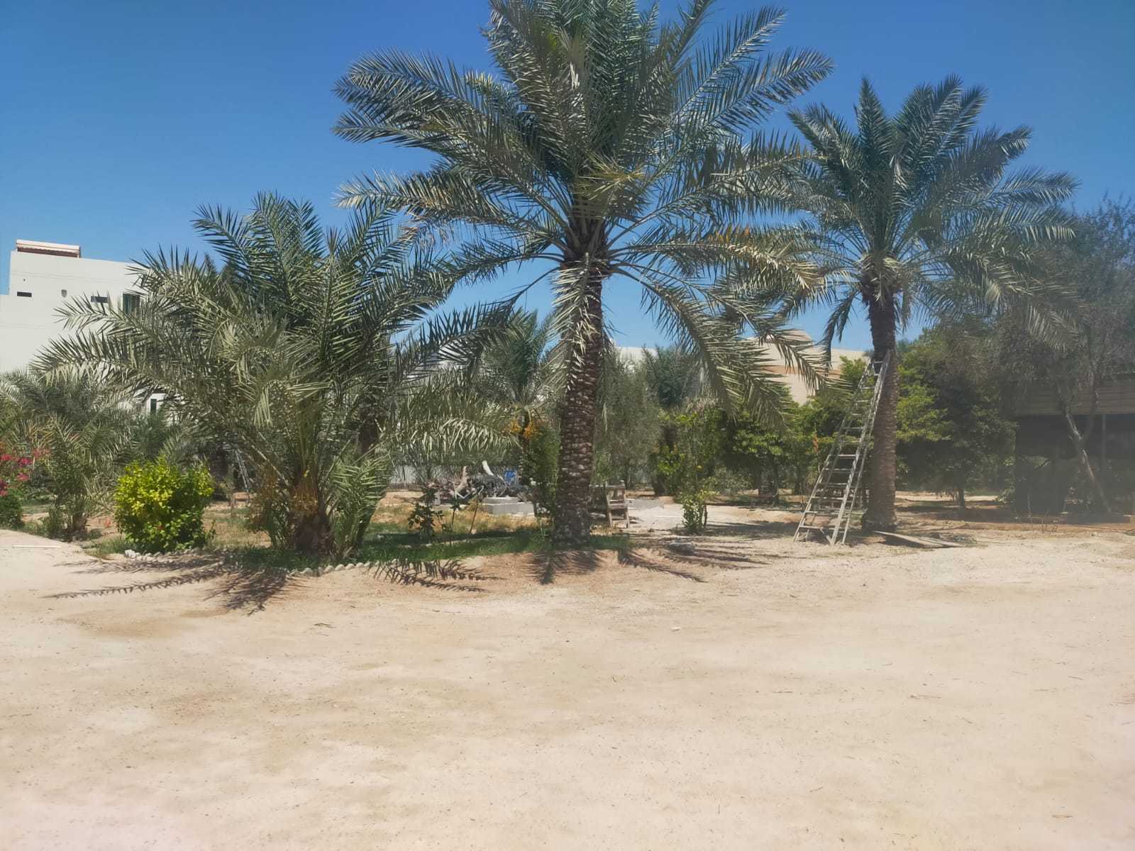 Jord i Jeblat Hebshi, Northern Governorate 12286029