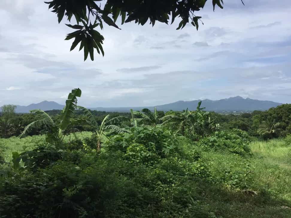 Land im Tuy, Batangas 12296742