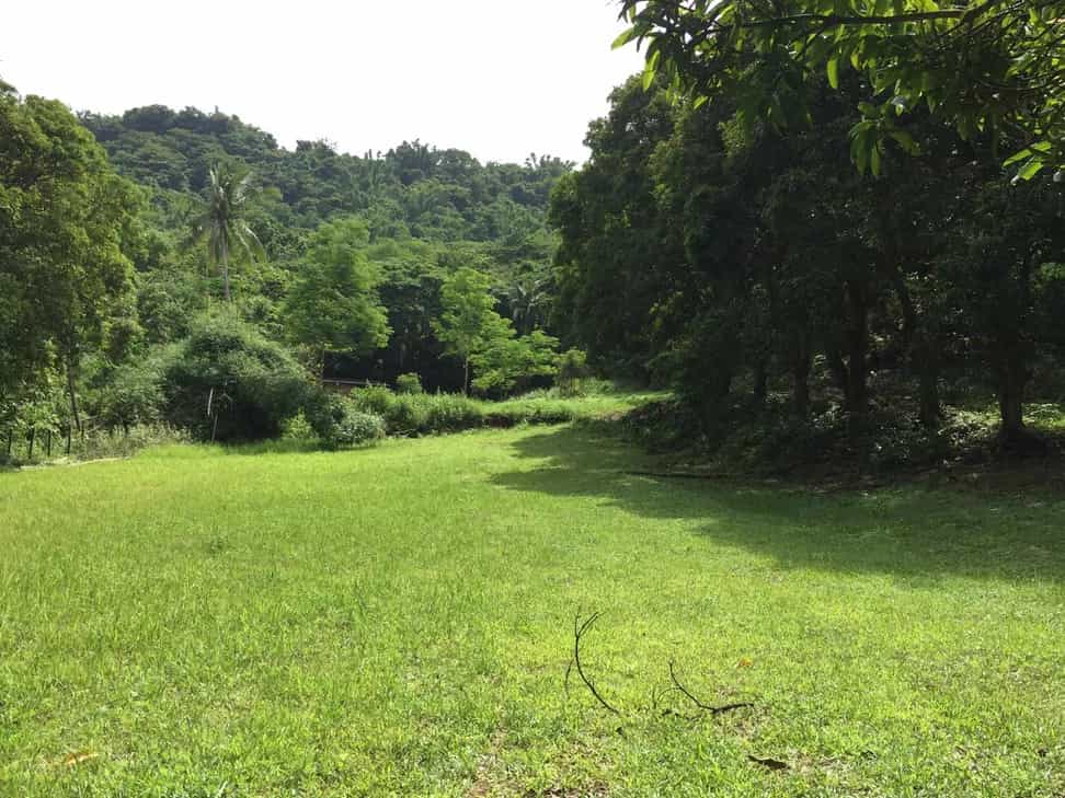Land in Tuy, Calabarzon 12296742