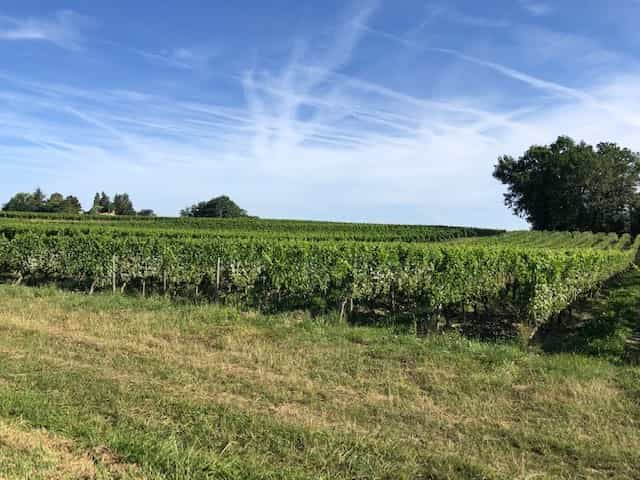 Andere in Monbazillac, Nouvelle-Aquitaine 12298738