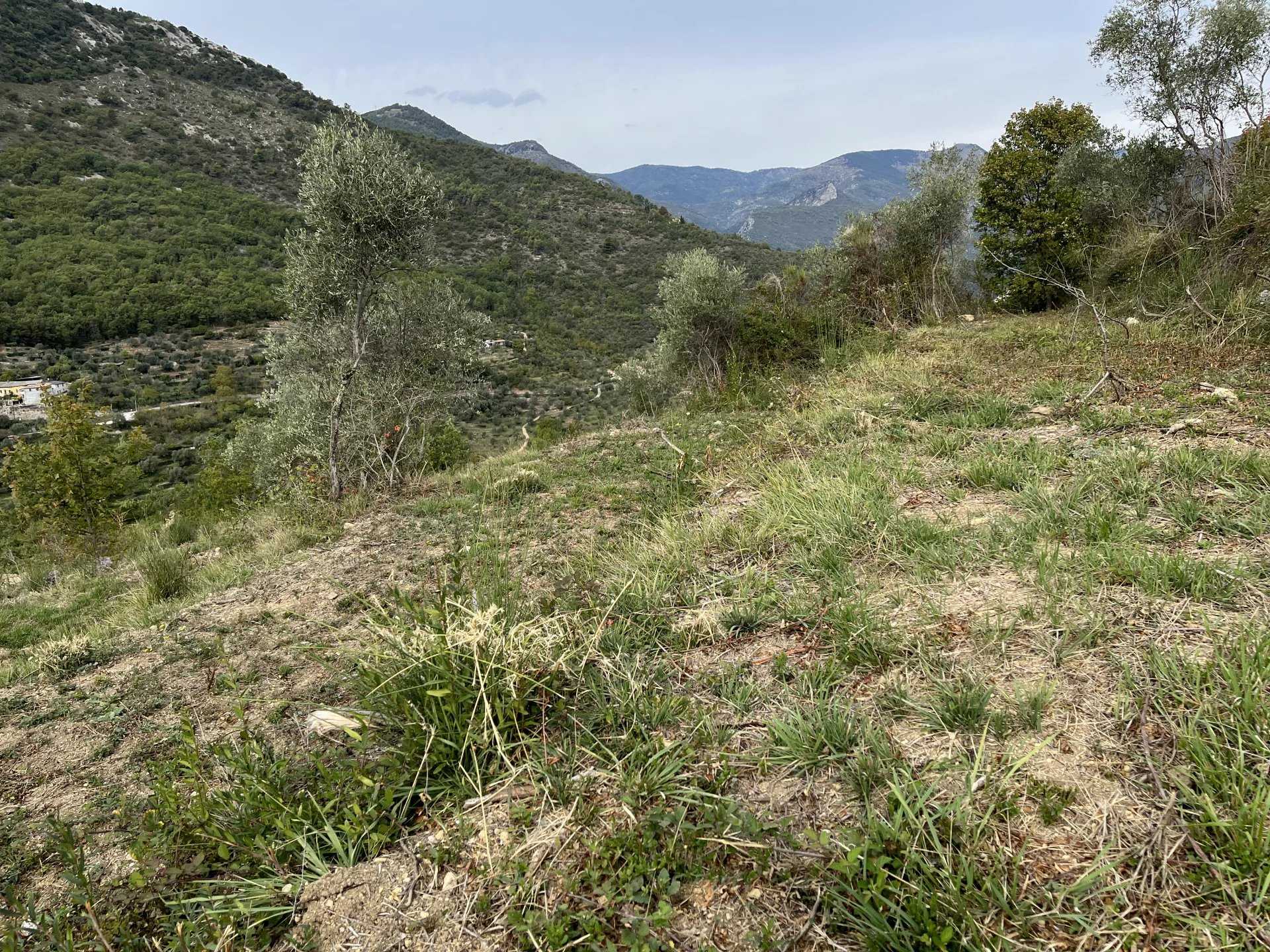 Tanah dalam Sospel, Provence-Alpes-Côte d'Azur 12303039