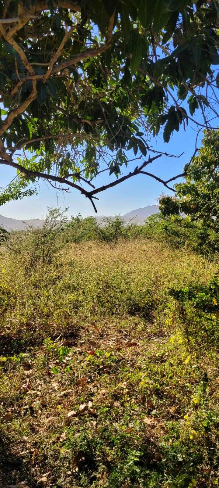 Land in San José del Cabo, Baja California Sur 12303242