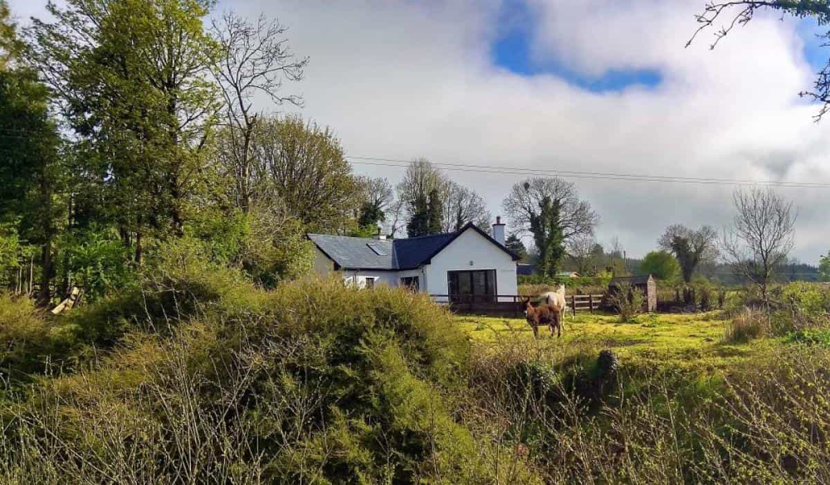 House in Ruan, Clare 12316773