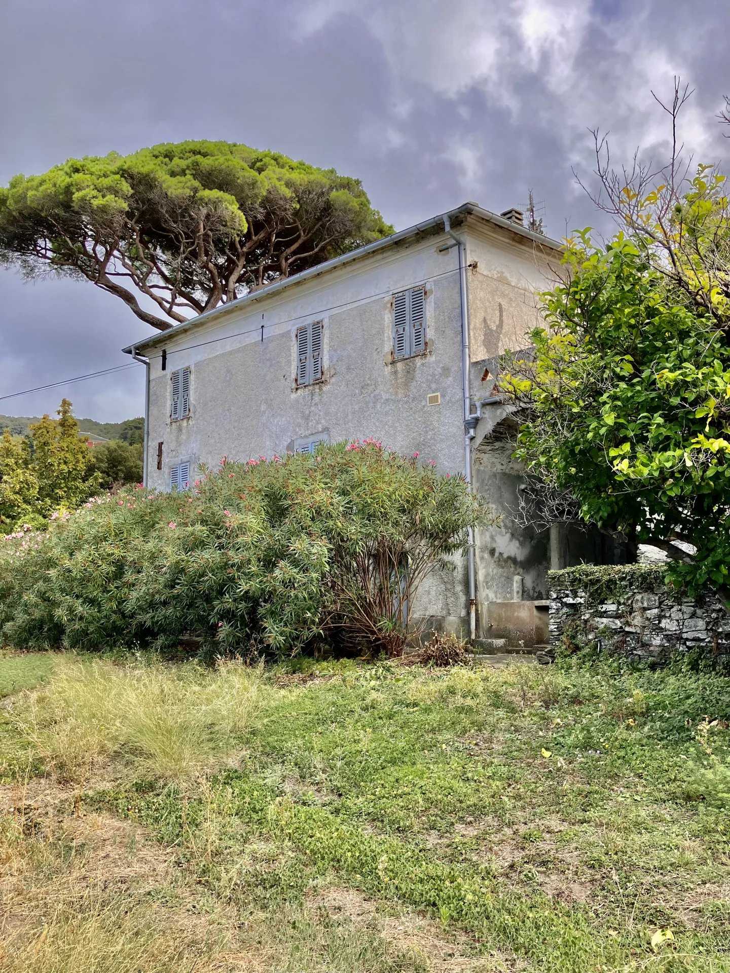 casa en Pino, Haute-Corse 12316959