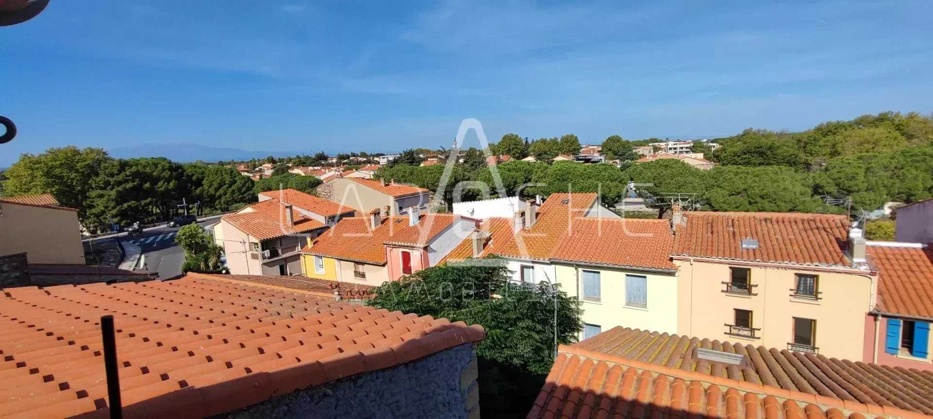 Будинок в Argeles-sur-Mer, Occitanie 12318239