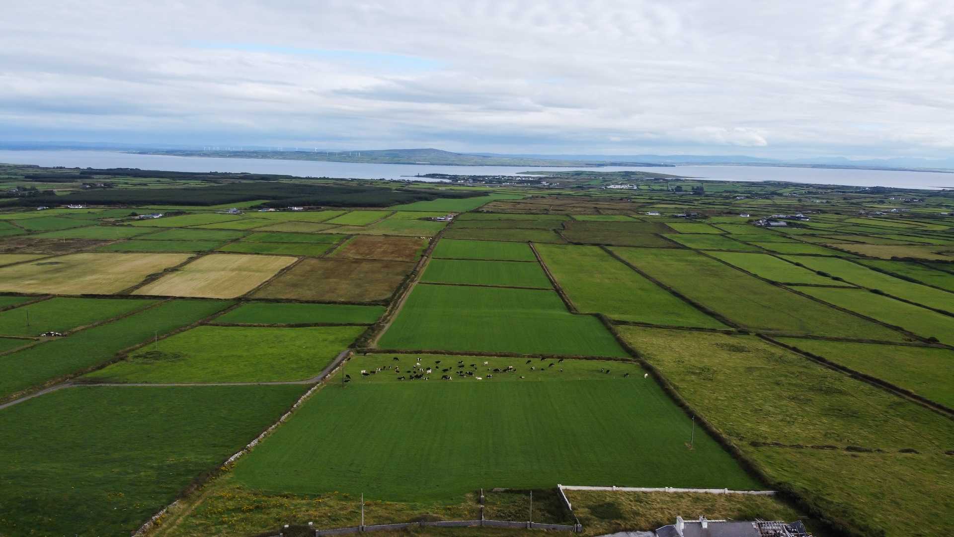 Land in Kilkee, Clare 12321167