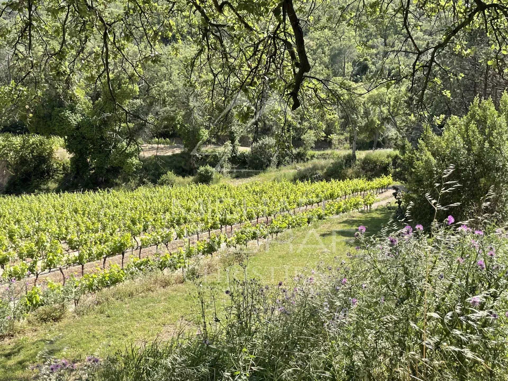Andet i Grimaud, Provence-Alpes-Cote d'Azur 12322018