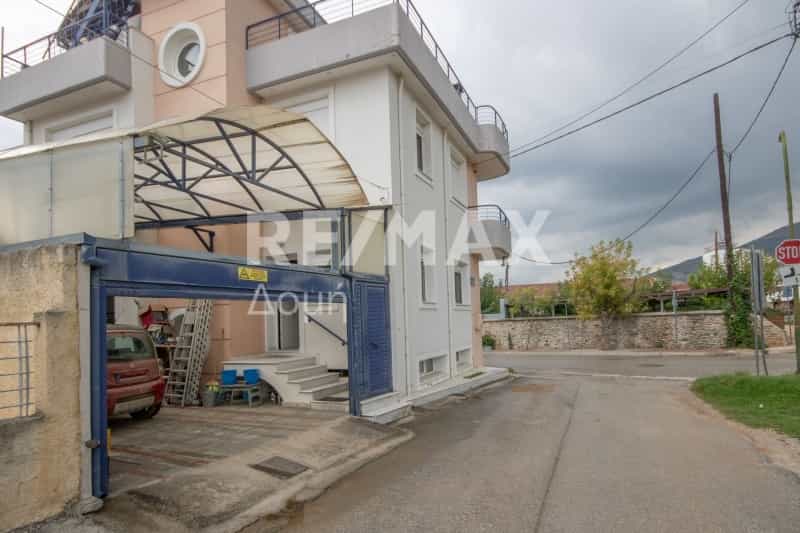 Hus i Volos,  12325503