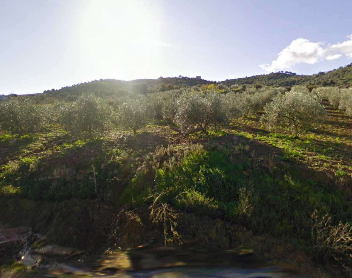 Land in Coin, Andalusia 12329027