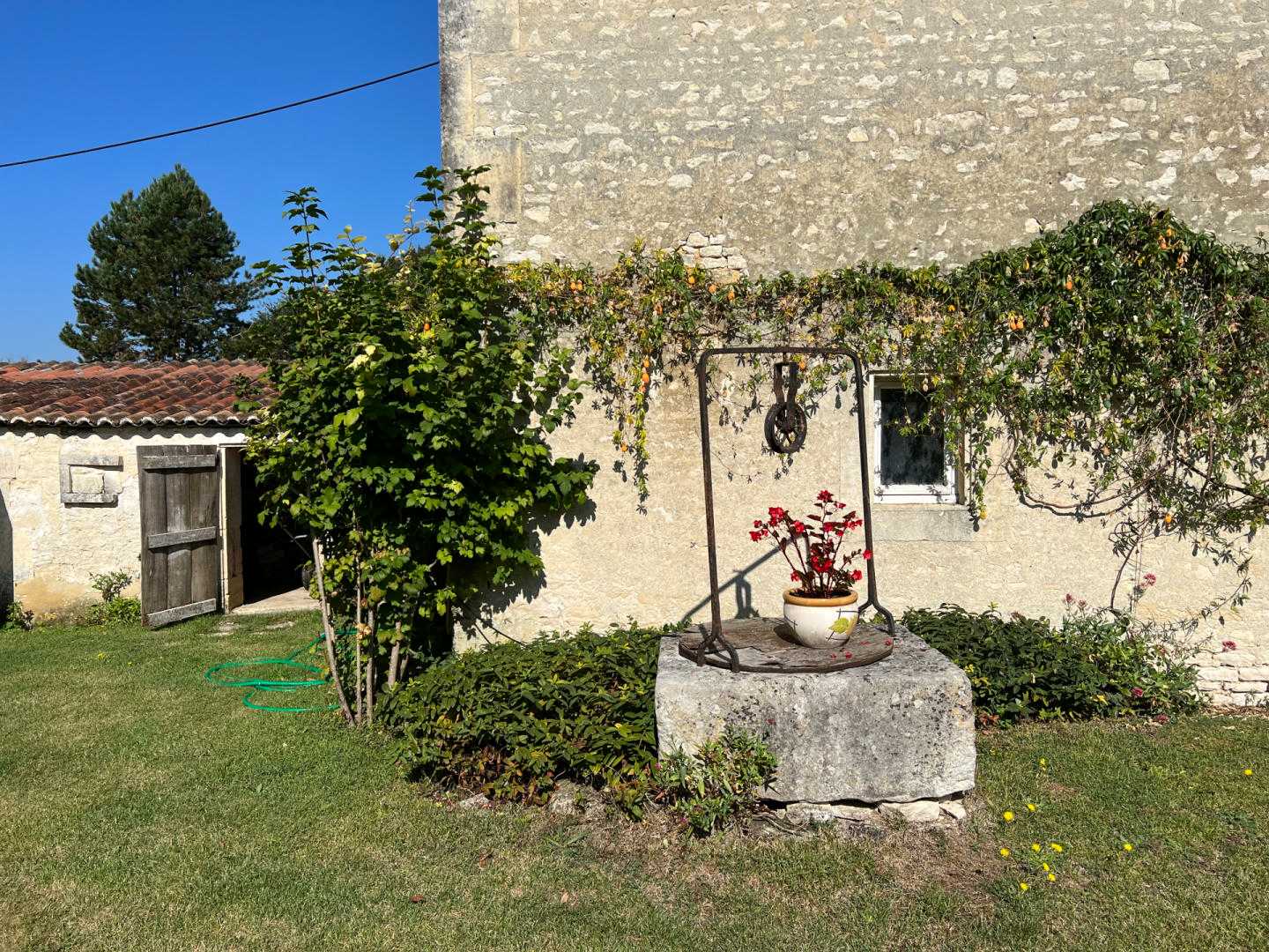 بيت في Antezant-la-Chapelle, Nouvelle-Aquitaine 12329358
