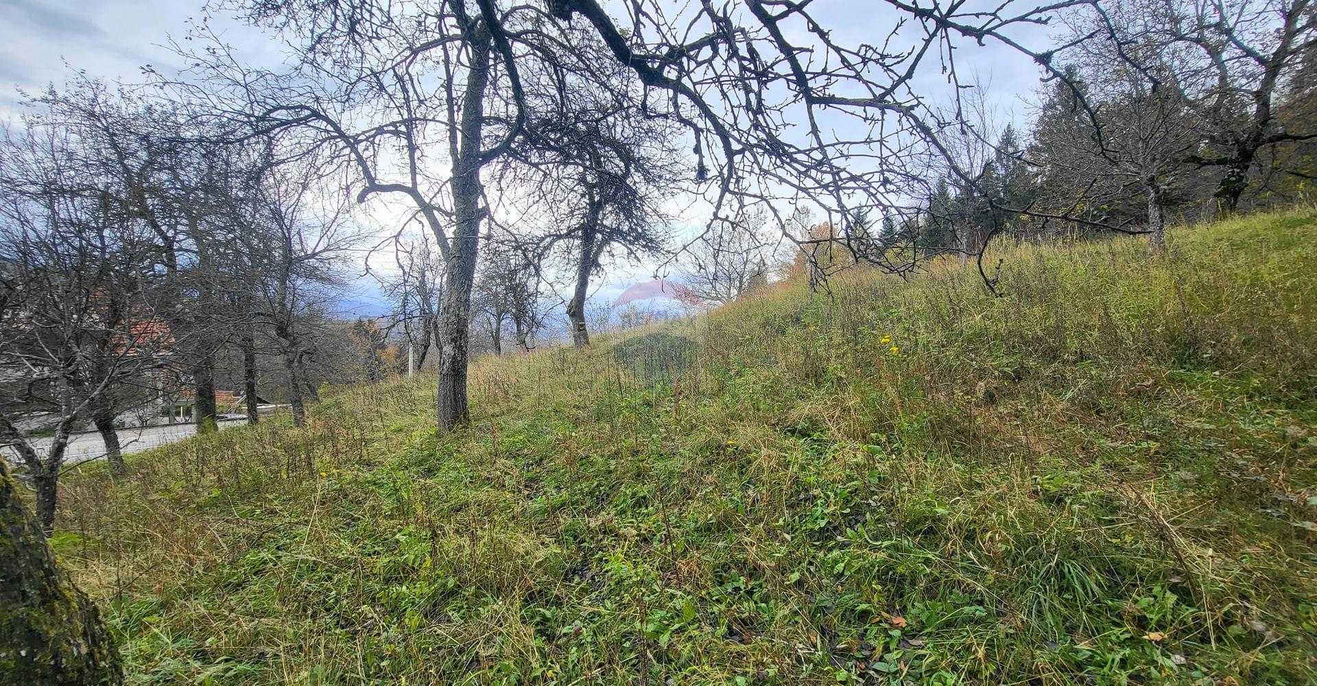 Tanah di Divjake, Primorsko-goranska županija 12331032