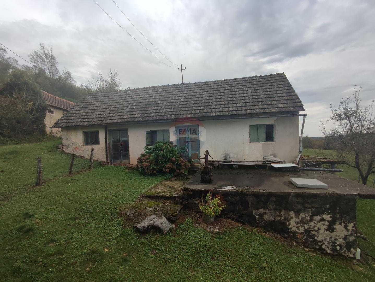 Hus i Ribnik, Karlovacka Zupanija 12331033