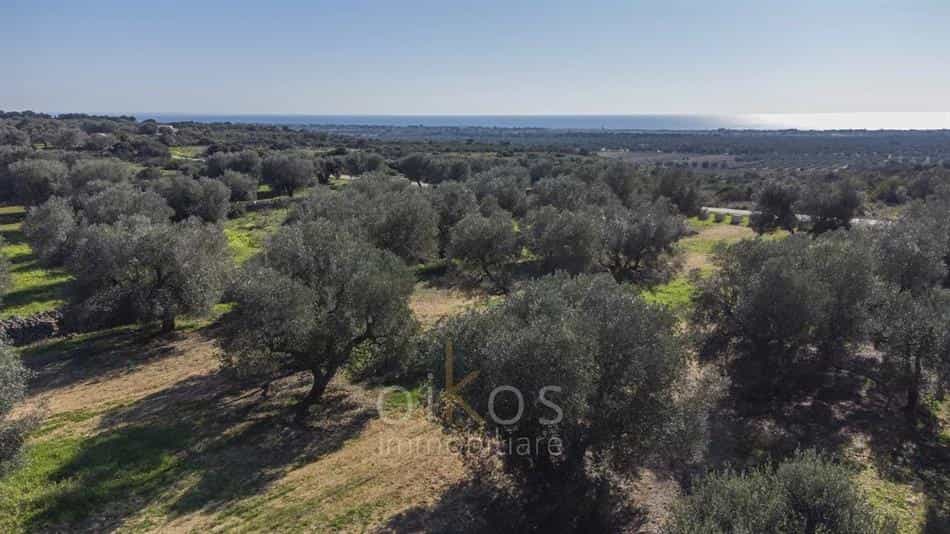 Tanah di Manduria, Puglia 12339897