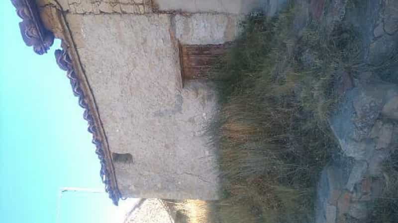 Outro no Nogueruelas, Aragon 12340534