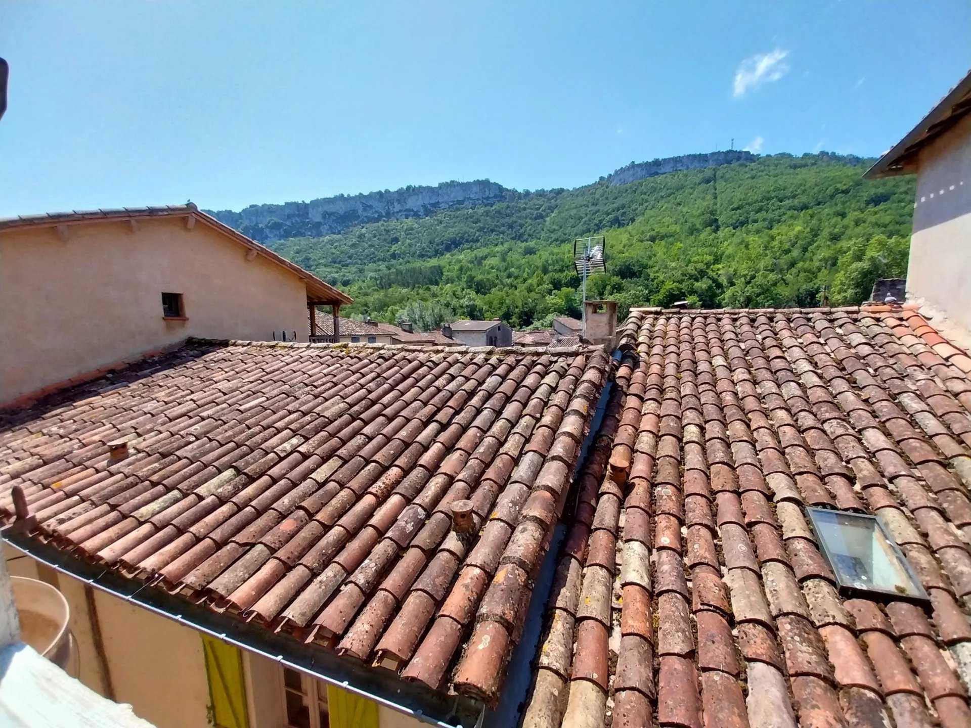 Huis in Saint-Antonin-Noble-Val, Occitanië 12344868