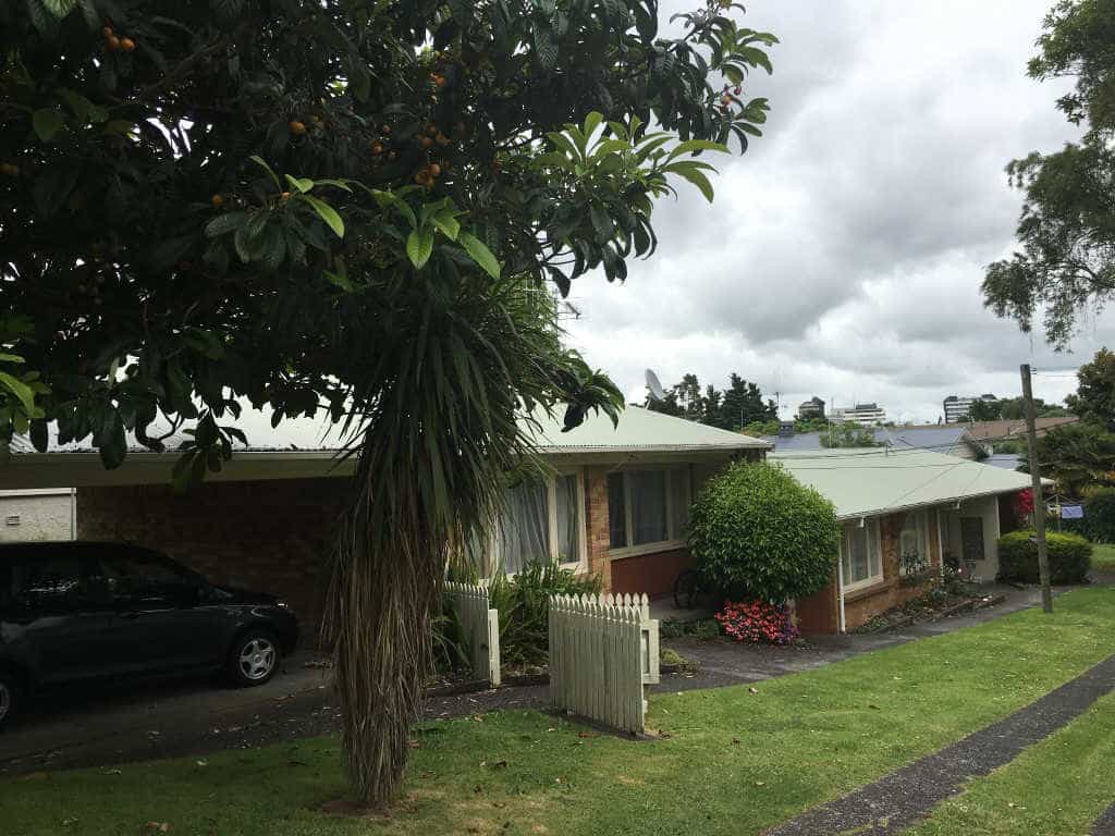 Eigentumswohnung im Hamilton, Waikato 12347131