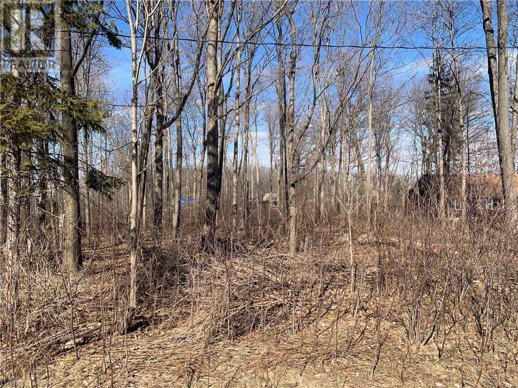 Land in Fort Erie, Ontario 12347784