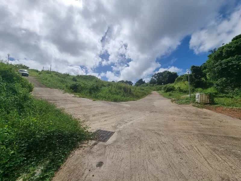 Kommerziell im Rivière-Salée, Martinique 12351343
