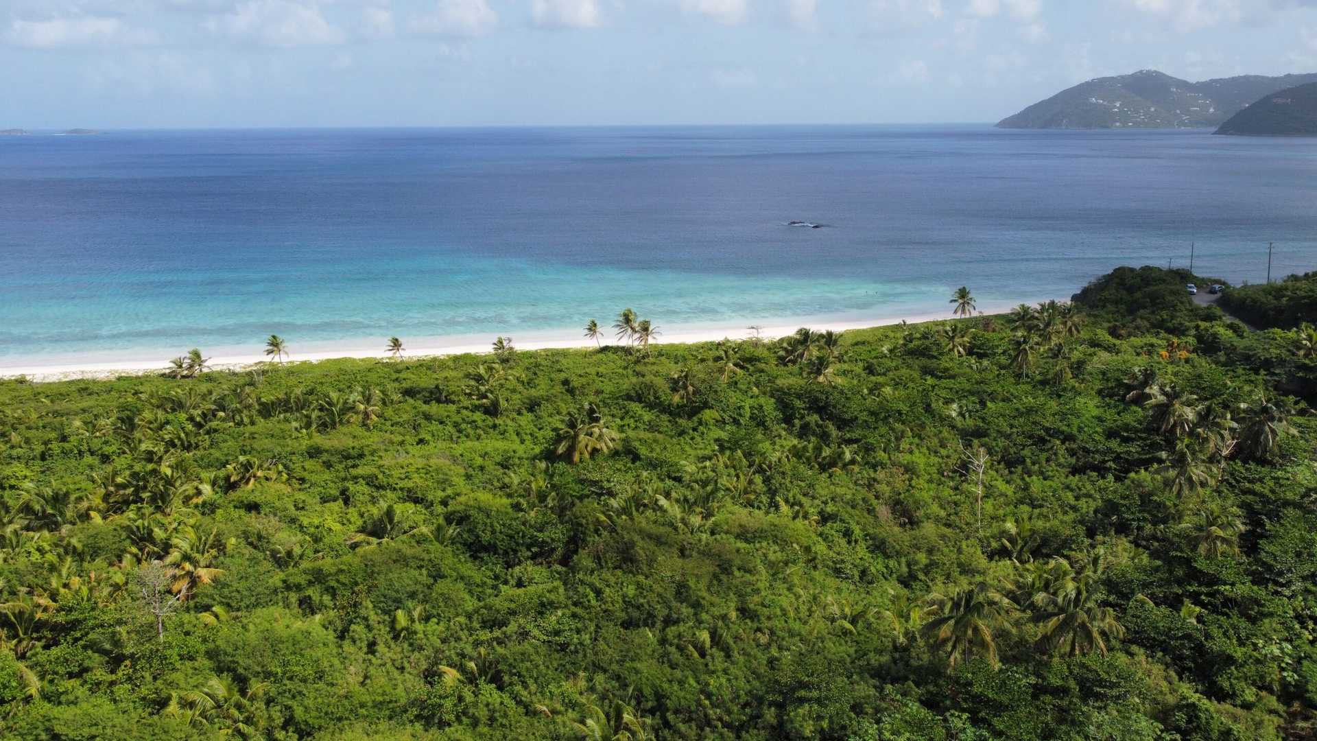 Land in Coral Bay, Virgin Islands 12356126
