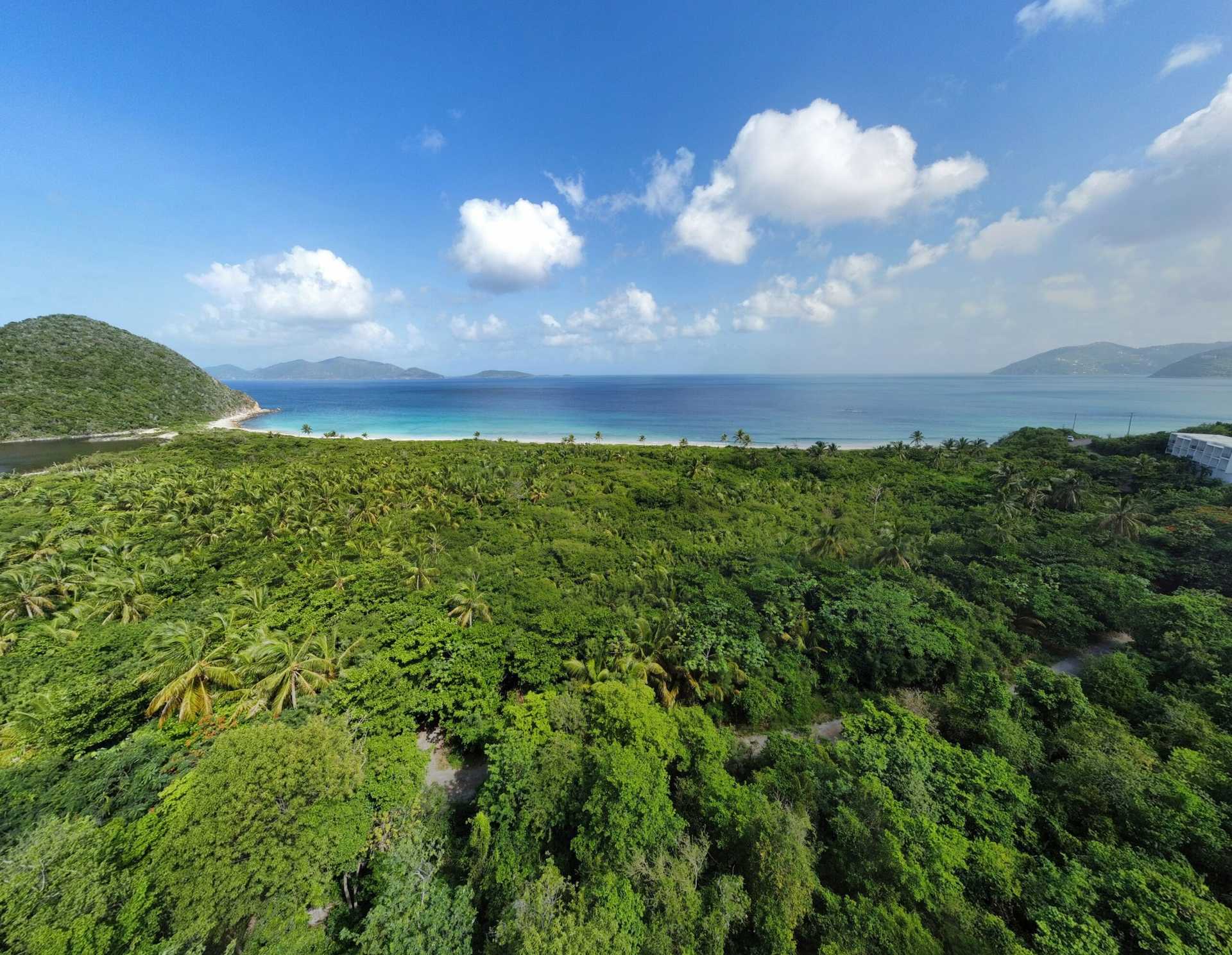 Tanah dalam Teluk Karang, Kepulauan Virgin 12356126