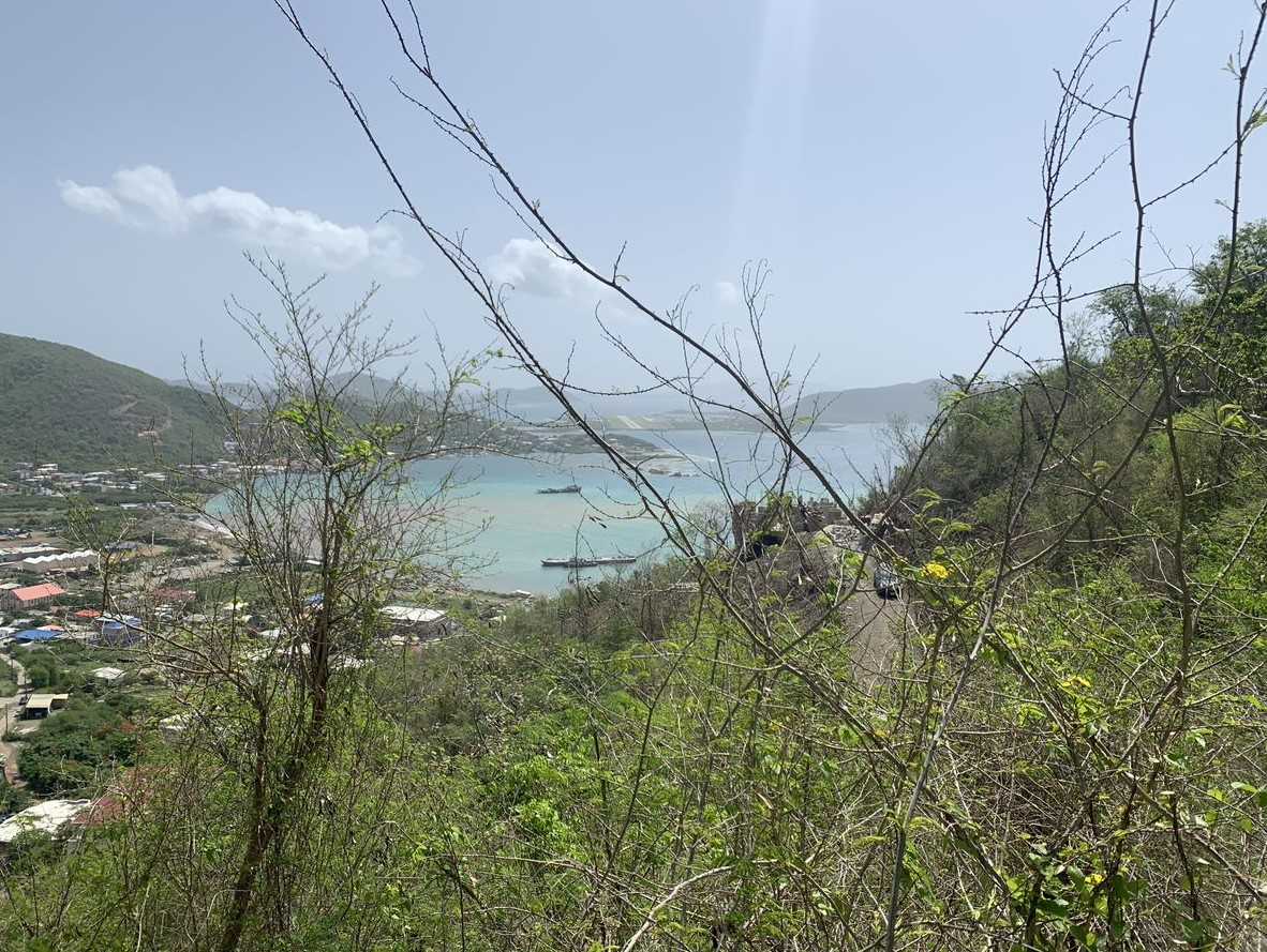 Land in Coral Bay, Virgin Islands 12356165