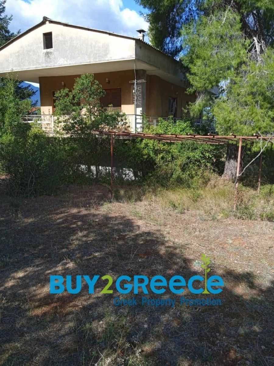 House in Polydrosos, Sterea Ellada 12359262