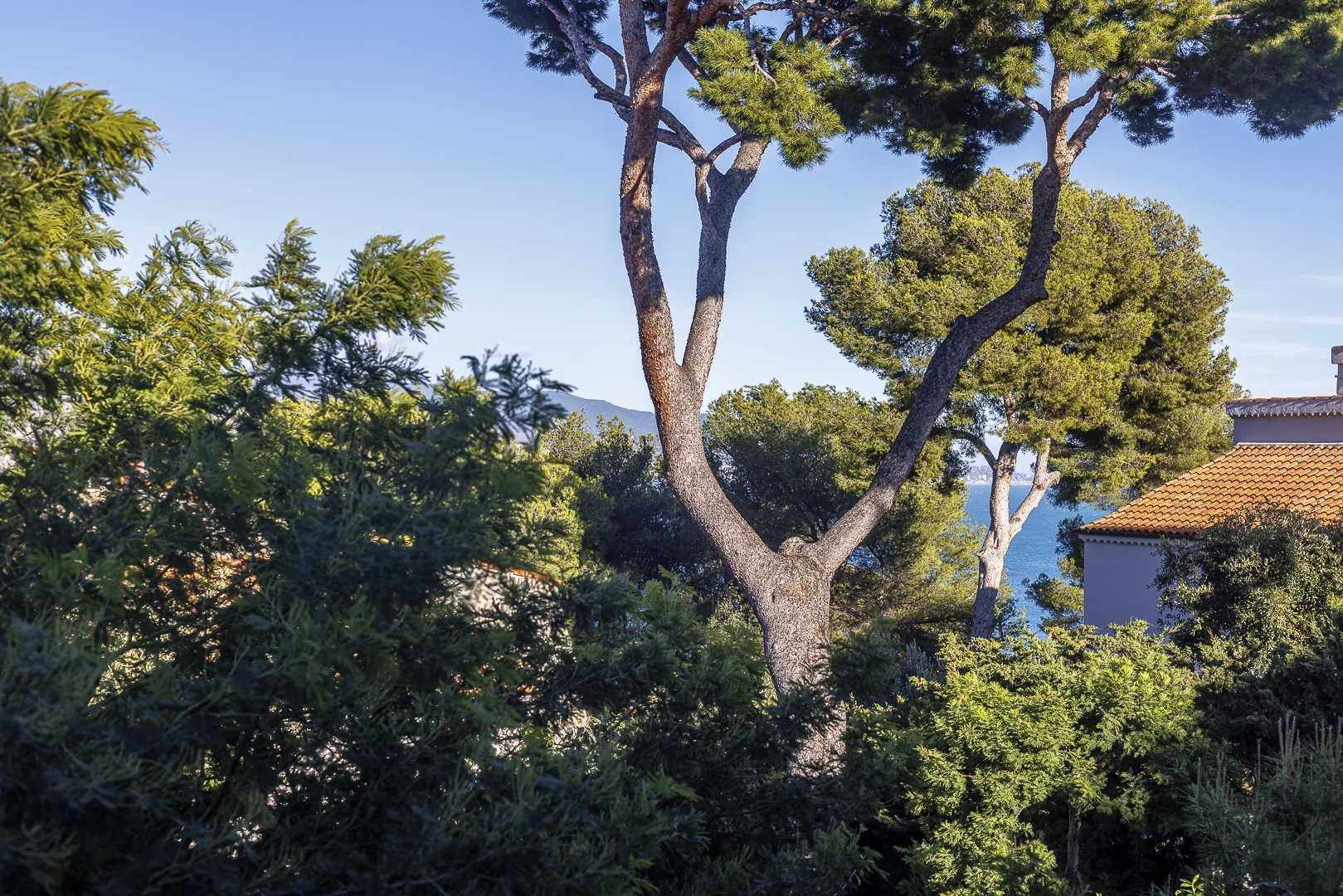rumah dalam Roquebrune-Cap-Martin, Provence-Alpes-Côte d'Azur 12360117