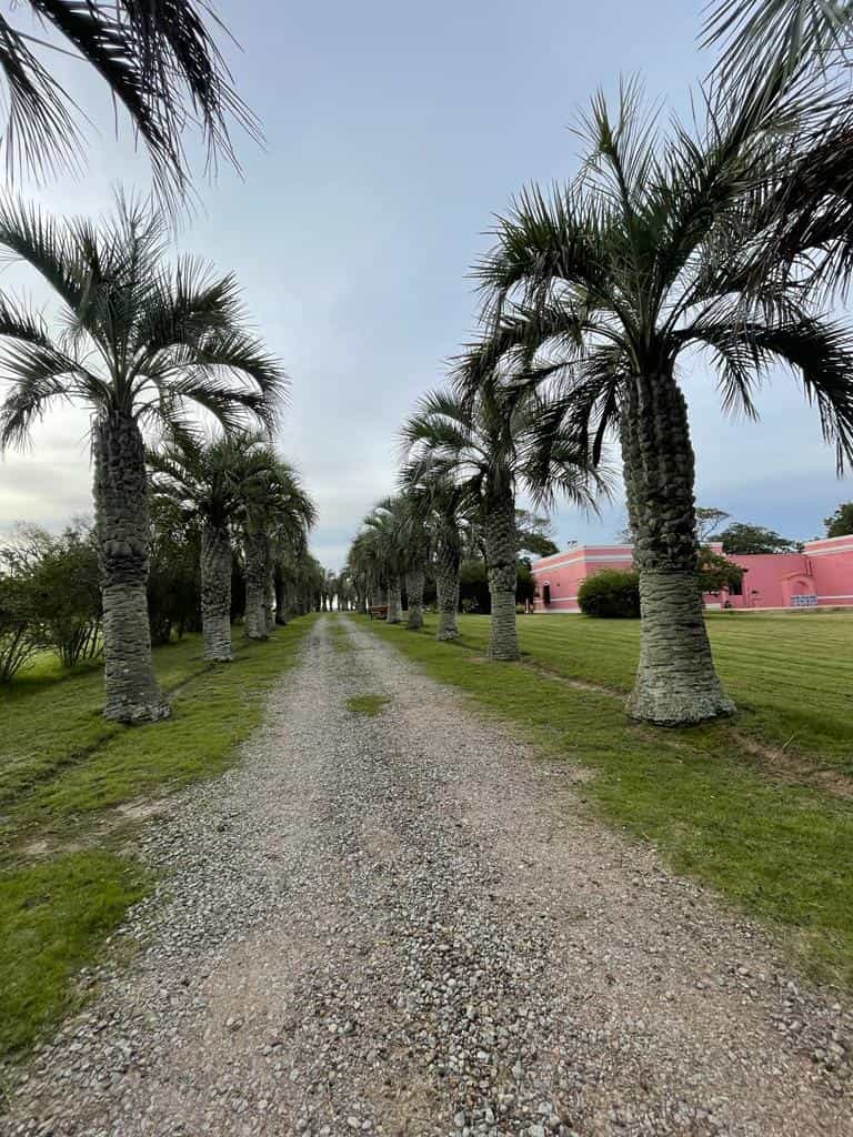 Eigentumswohnung im Punta del Este, Departamento de Maldonado 12362400