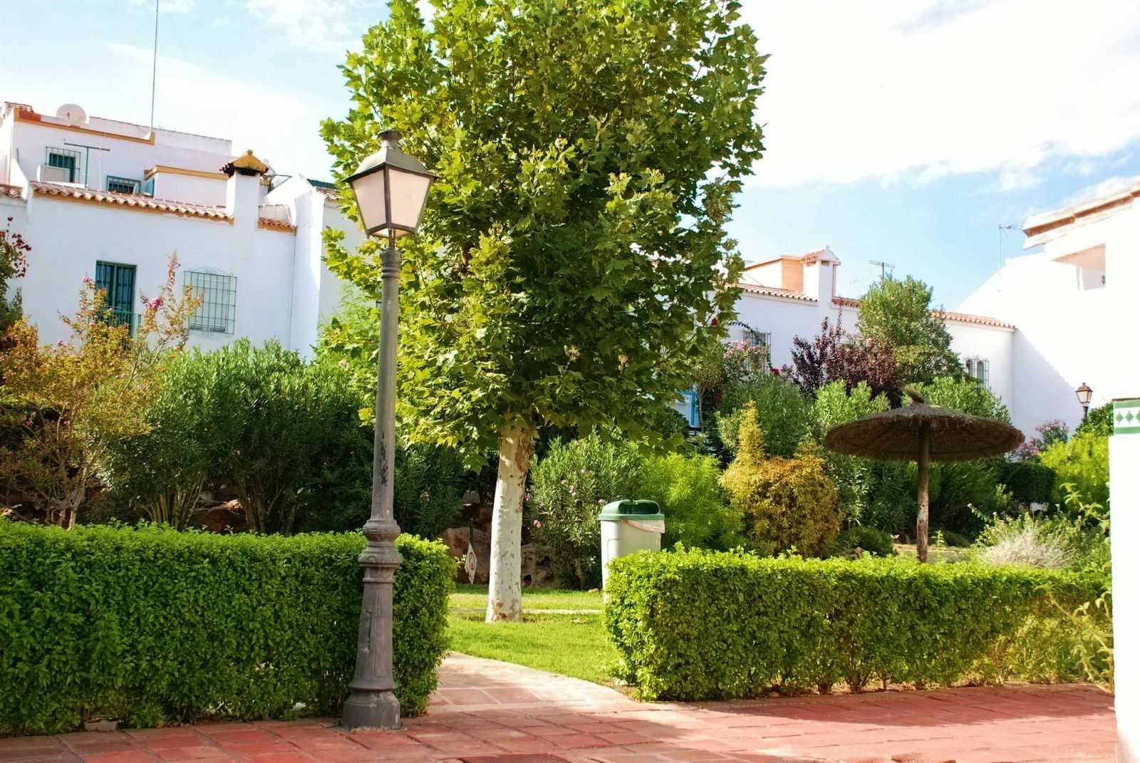 Haus im Casares, Andalucía 12362564