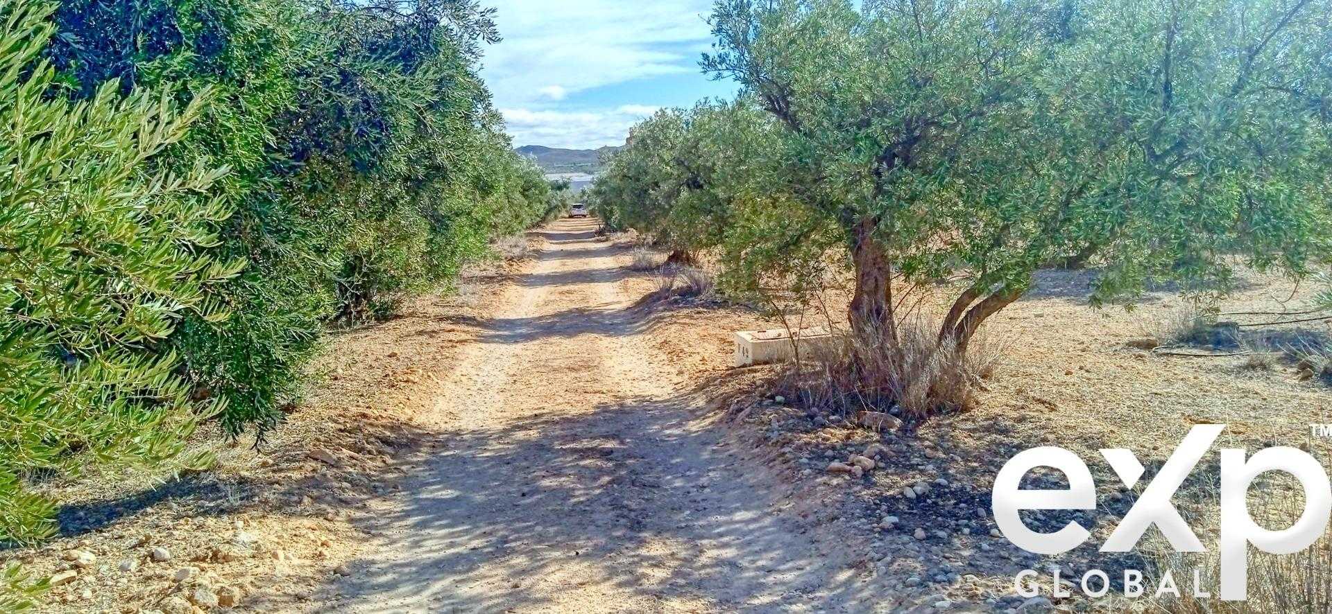 Tanah dalam Hellín, Castilla-La Mancha 12363599
