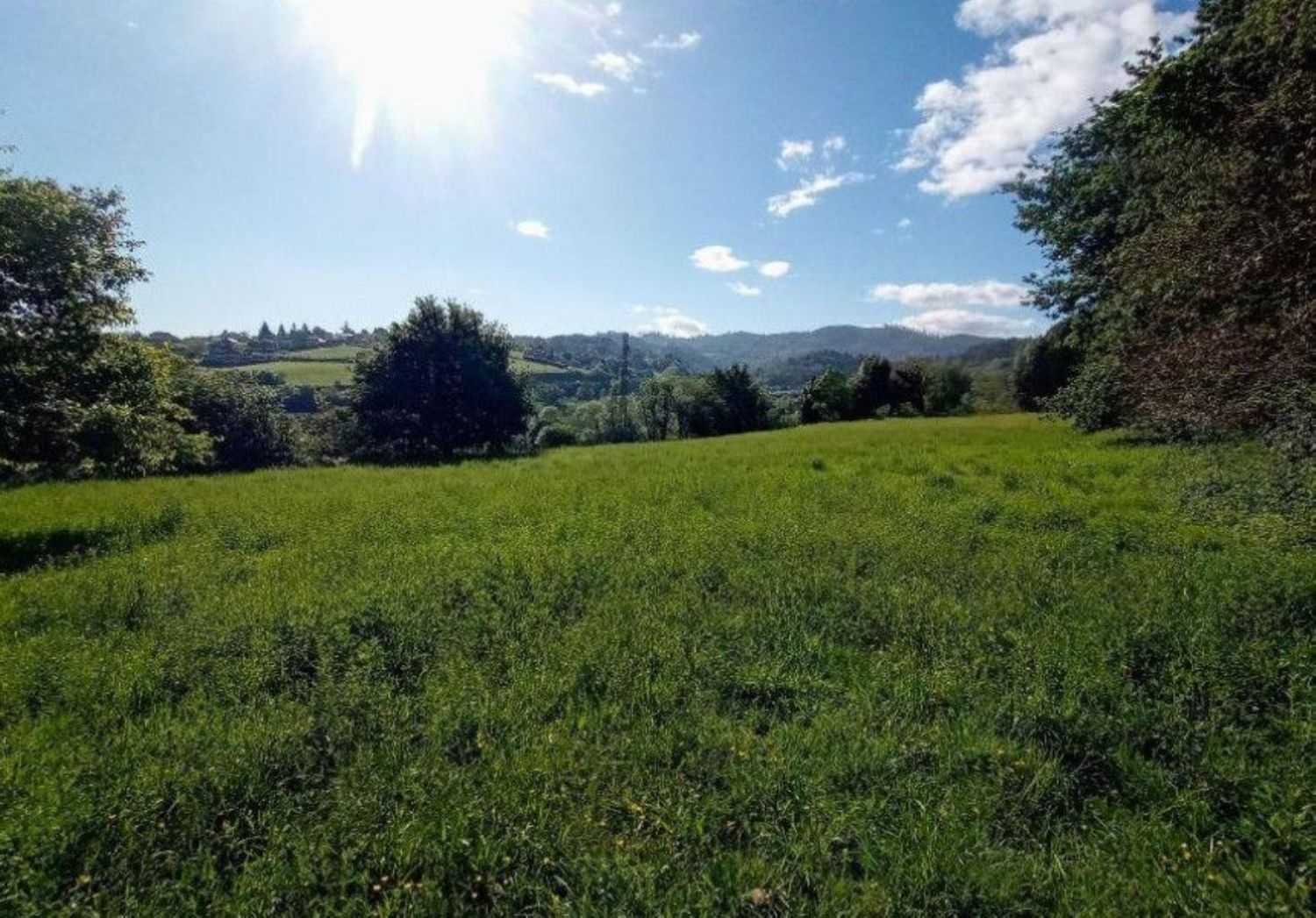 Land in opa, Asturië 12369921